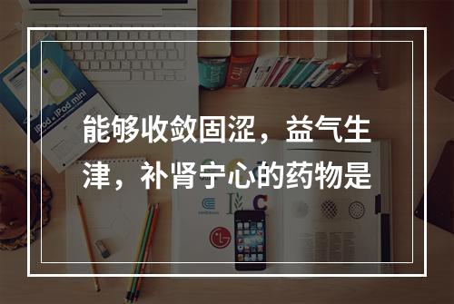 能够收敛固涩，益气生津，补肾宁心的药物是