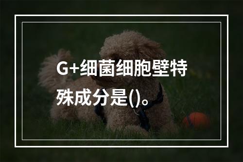 G+细菌细胞壁特殊成分是()。