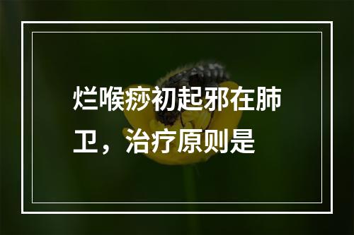 烂喉痧初起邪在肺卫，治疗原则是