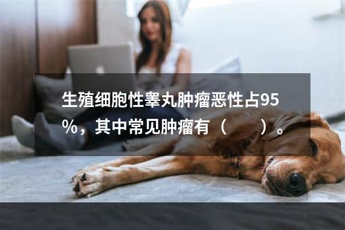 生殖细胞性睾丸肿瘤恶性占95％，其中常见肿瘤有（　　）。