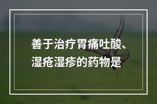 善于治疗胃痛吐酸、湿疮湿疹的药物是