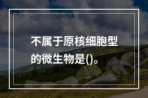 不属于原核细胞型的微生物是()。