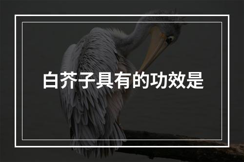 白芥子具有的功效是