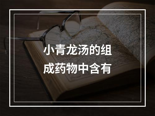 小青龙汤的组成药物中含有