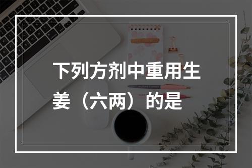 下列方剂中重用生姜（六两）的是