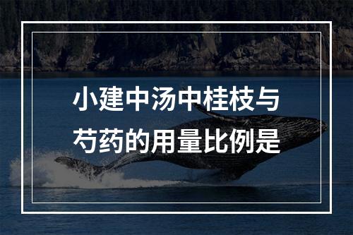 小建中汤中桂枝与芍药的用量比例是