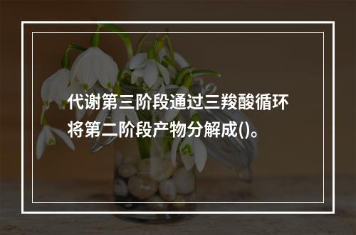 代谢第三阶段通过三羧酸循环将第二阶段产物分解成()。