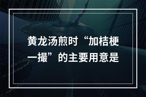 黄龙汤煎时“加桔梗一撮”的主要用意是