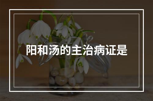 阳和汤的主治病证是