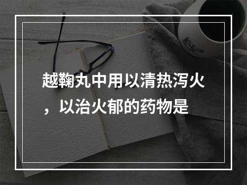 越鞠丸中用以清热泻火，以治火郁的药物是