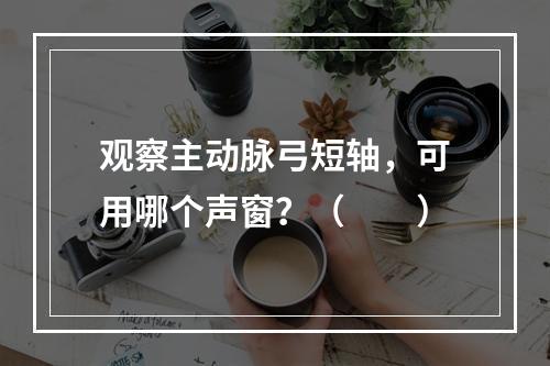 观察主动脉弓短轴，可用哪个声窗？（　　）