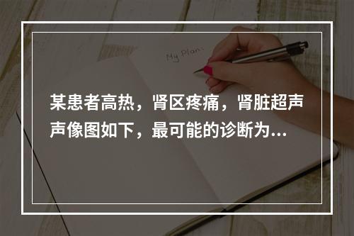 某患者高热，肾区疼痛，肾脏超声声像图如下，最可能的诊断为（