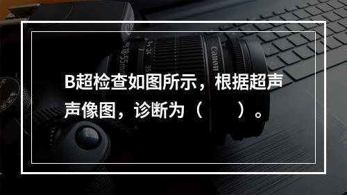 B超检查如图所示，根据超声声像图，诊断为（　　）。