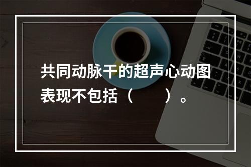 共同动脉干的超声心动图表现不包括（　　）。