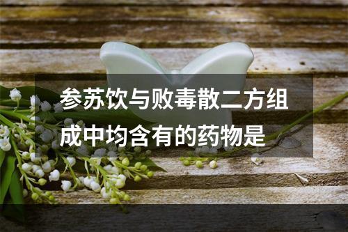 参苏饮与败毒散二方组成中均含有的药物是