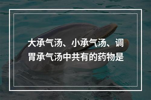 大承气汤、小承气汤、调胃承气汤中共有的药物是