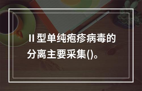 Ⅱ型单纯疱疹病毒的分离主要采集()。