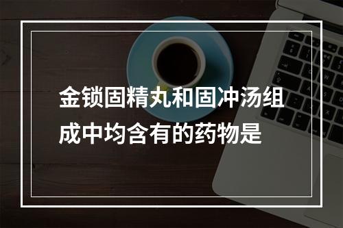 金锁固精丸和固冲汤组成中均含有的药物是