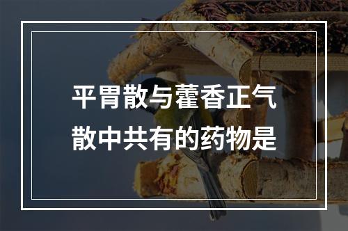 平胃散与藿香正气散中共有的药物是