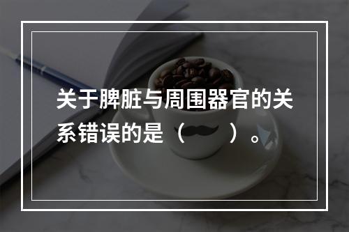 关于脾脏与周围器官的关系错误的是（　　）。