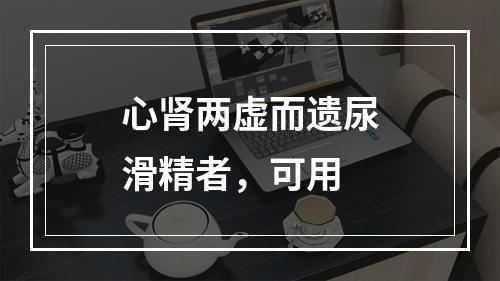 心肾两虚而遗尿滑精者，可用