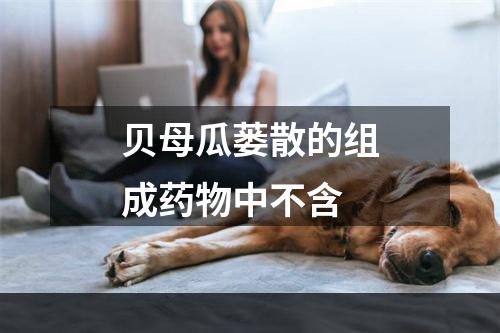 贝母瓜蒌散的组成药物中不含