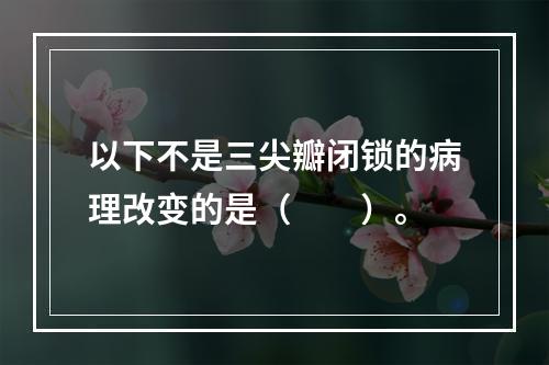 以下不是三尖瓣闭锁的病理改变的是（　　）。