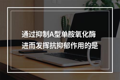 通过抑制A型单胺氧化酶进而发挥抗抑郁作用的是