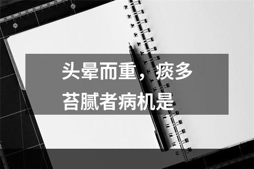 头晕而重，痰多苔腻者病机是