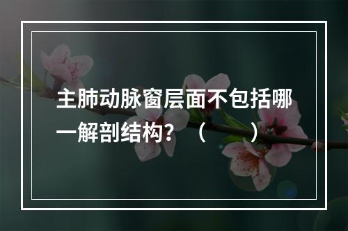 主肺动脉窗层面不包括哪一解剖结构？（　　）