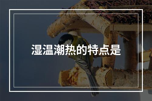 湿温潮热的特点是