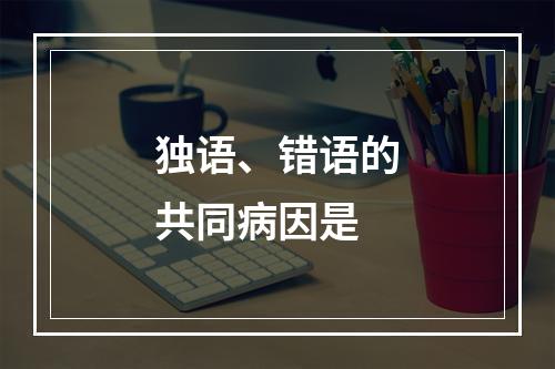 独语、错语的共同病因是