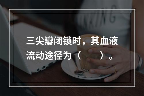 三尖瓣闭锁时，其血液流动途径为（　　）。