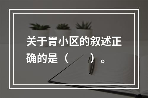 关于胃小区的叙述正确的是（　　）。