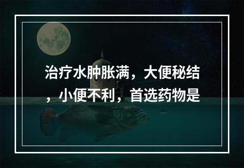 治疗水肿胀满，大便秘结，小便不利，首选药物是