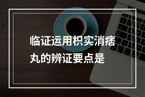 临证运用枳实消痞丸的辨证要点是