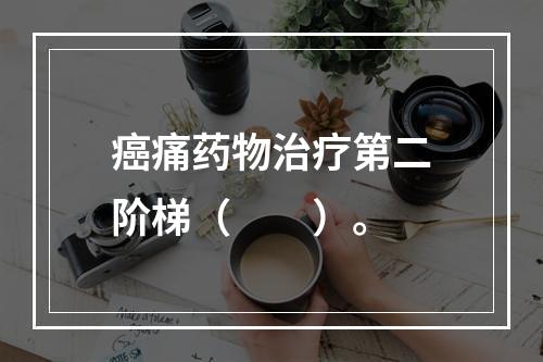 癌痛药物治疗第二阶梯（　　）。