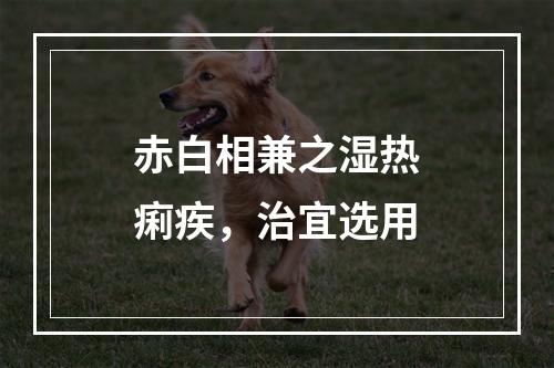 赤白相兼之湿热痢疾，治宜选用