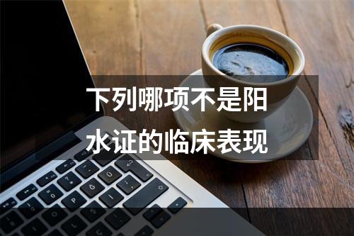 下列哪项不是阳水证的临床表现