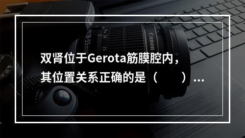 双肾位于Gerota筋膜腔内，其位置关系正确的是（　　）。