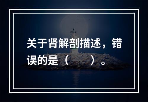 关于肾解剖描述，错误的是（　　）。