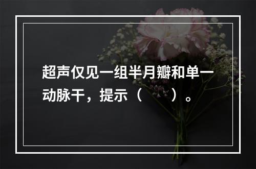 超声仅见一组半月瓣和单一动脉干，提示（　　）。