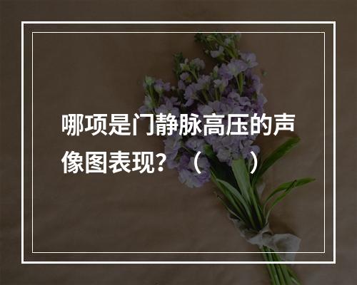 哪项是门静脉高压的声像图表现？（　　）