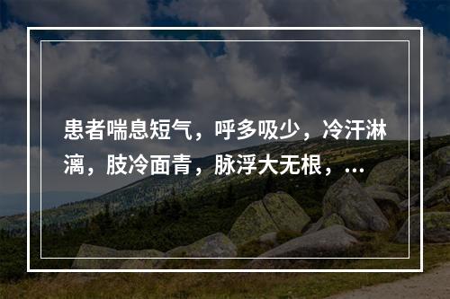 患者喘息短气，呼多吸少，冷汗淋漓，肢冷面青，脉浮大无根，宜诊