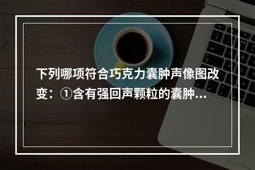 下列哪项符合巧克力囊肿声像图改变：①含有强回声颗粒的囊肿；