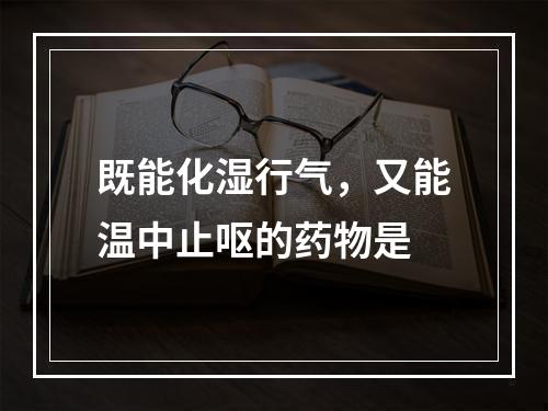 既能化湿行气，又能温中止呕的药物是