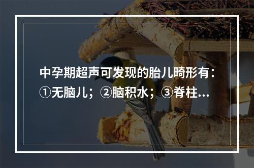 中孕期超声可发现的胎儿畸形有：①无脑儿；②脑积水；③脊柱裂