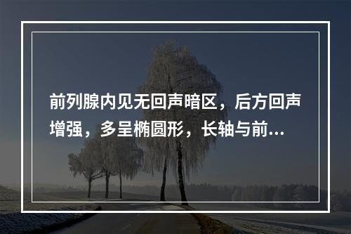 前列腺内见无回声暗区，后方回声增强，多呈椭圆形，长轴与前列腺