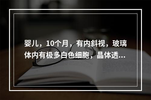 婴儿，10个月，有内斜视，玻璃体内有极多白色细胞，晶体透明，