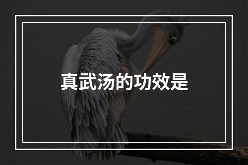 真武汤的功效是